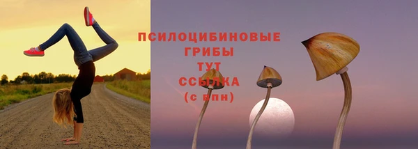 PSILOCYBIN Алексин