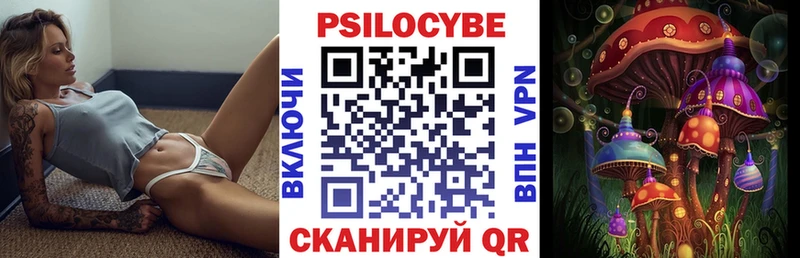 Галлюциногенные грибы Cubensis ссылка на мегу ССЫЛКА Чехов
