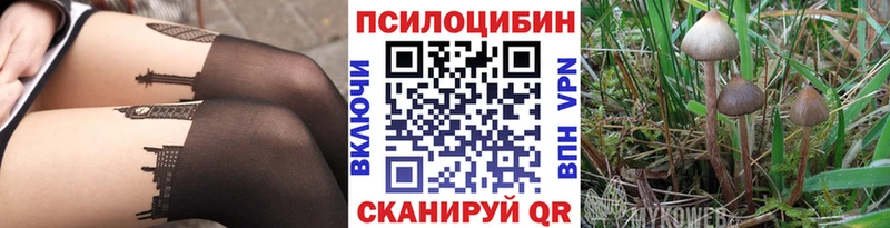 Псилоцибиновые грибы прущие грибы Чехов