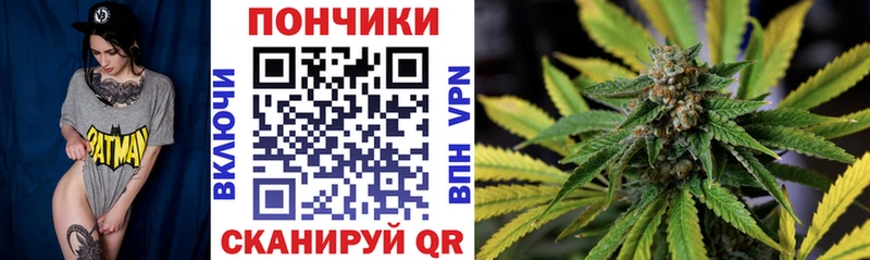 где можно купить наркотик  Чехов  Конопля OG Kush 
